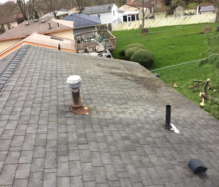 roof repaired from tree 