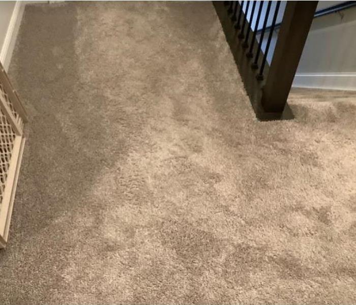 water damaged carpet in residential home