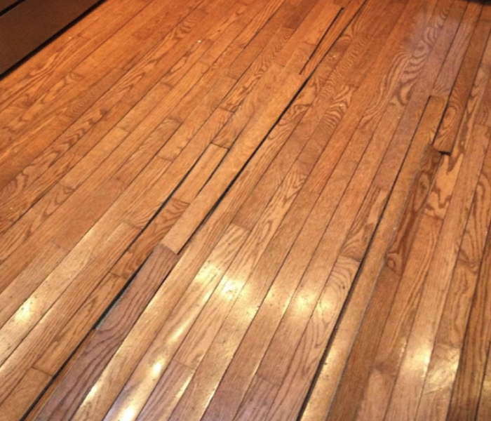 hardwood floors buckling from water damage