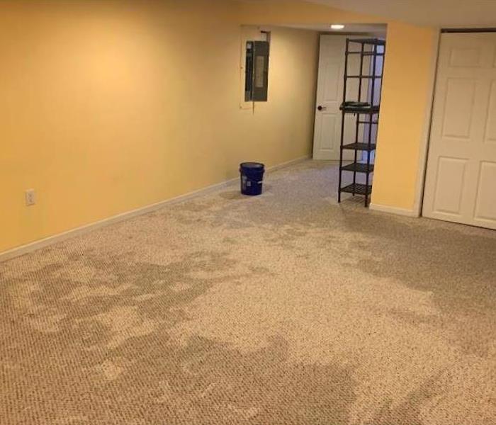 water damaged carpet in basement