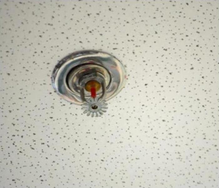 fire sprinkler head on white ceiling