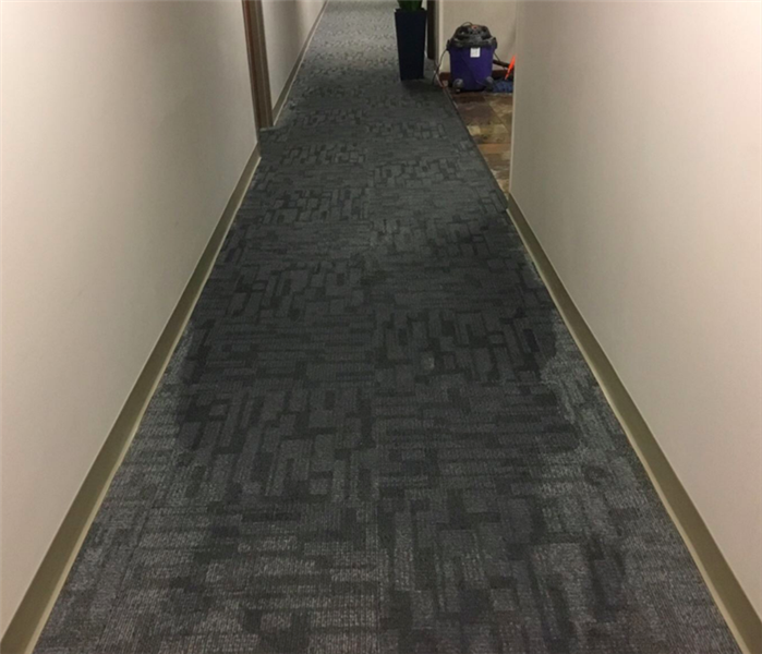 Water Damaged Carpet