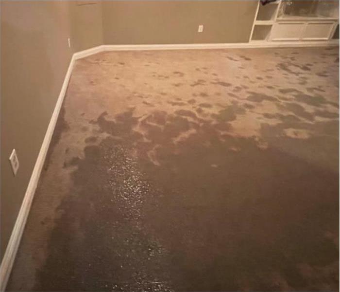 wet brown carpet