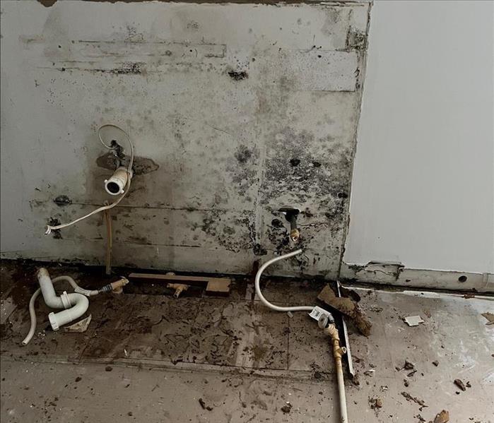 Mold under sink on drywall