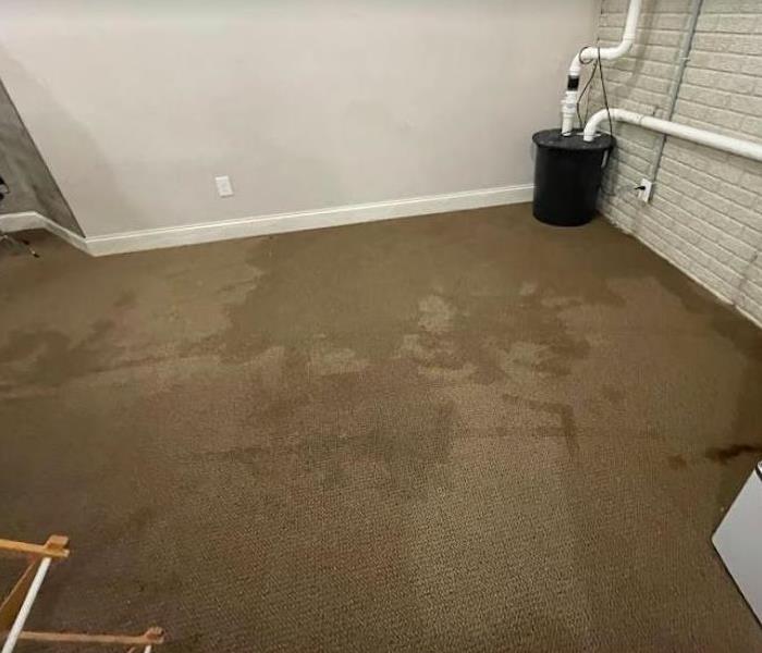 water damaged carpet from sump pump
